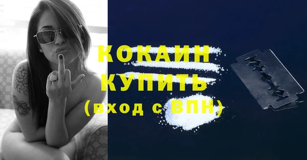Альфа ПВП Новозыбков