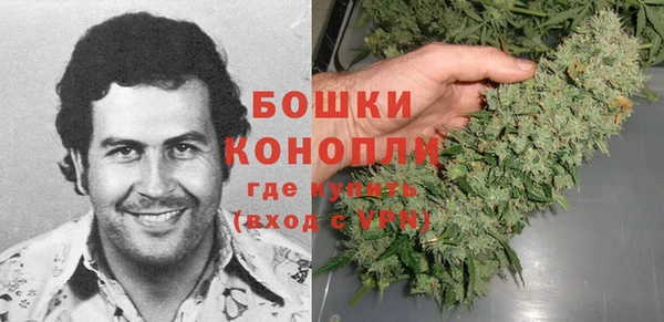гидра Нея
