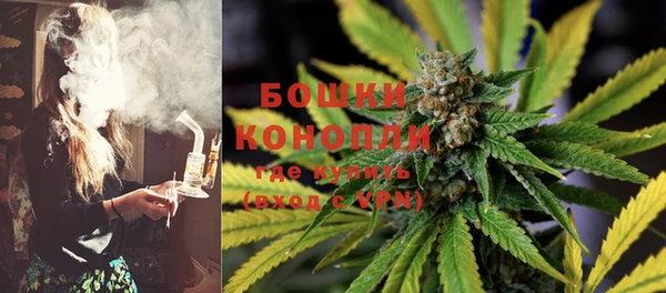 каннабис Новодвинск