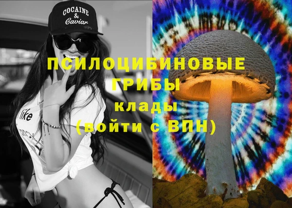 Альфа ПВП Новозыбков